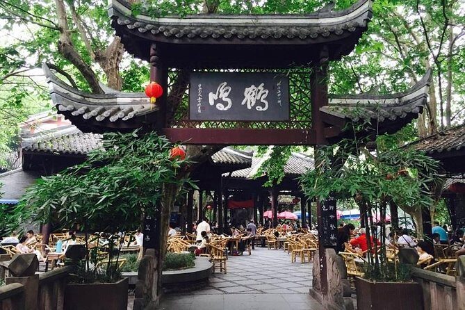Ticket reservation for Chengdu Giant Panda Breeding Base - Crowds, Hills, and Comfort: Practical Tips That Matter