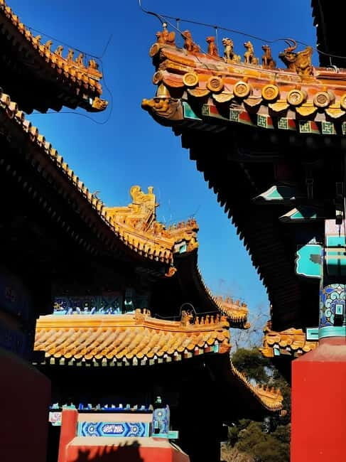 Tickets to all Beijing attractions (Forbidden City optional) - Temple of Heaven: the Beijing landmark you’ll want to see up close