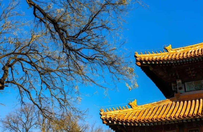 Tickets to all Beijing attractions (Forbidden City optional) - Your short guided start at Guozijian (and why it’s a good move)