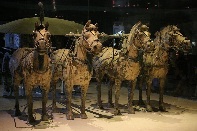 Xian Day Tour to Terracotta Warriors from Beijing, with City Wall - Private Transfers and Guide Style: The Real Value Add