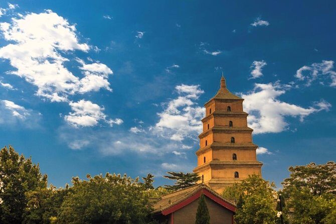 Xian Group Tour: Terracotta Army, Big Wild Goose Pagoda,City Wall - Pickup, timing, and group size (the part you can’t ignore)