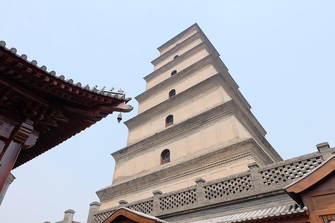 Xi'an Half-Day City Tour - Shaanxi History Museum and Big Wild Goose Pagoda - Who should book this Xi’an half-day tour?