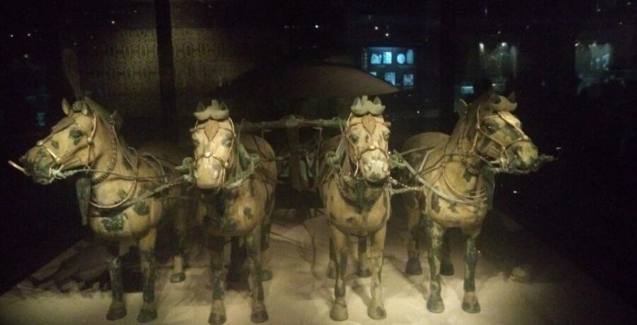Xi'an: Half-Day Terracotta Warriors & Horses Museum Tour - Morning (08:30) vs Afternoon (13:00): How to Choose Your Best Fit