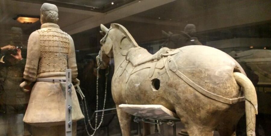Xi'an: Half-Day Terracotta Warriors & Horses Museum Tour - The One Thing to Watch For: Off-Script Stops and Time Pacing