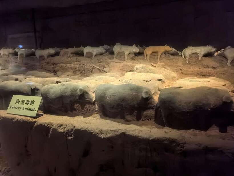 Xi'an: Han Yang Ling Tomb Archaeology Tour with Options - What to bring and the on-site rules you’ll want to know