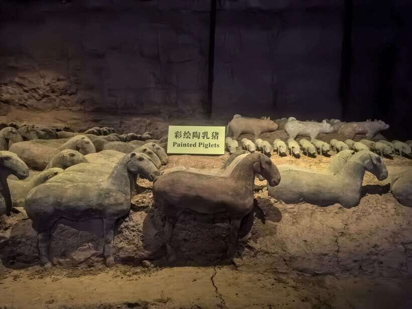 Xi'an: Han Yang Ling Tomb Archaeology Tour with Options - Who should book this Han Yangling Tomb tour?
