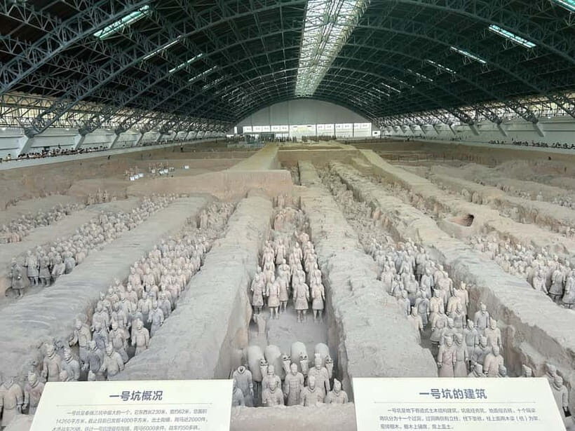Xi'an: Morning Terracotta Army Tour with Local Family Lunch - Skip-the-Line Entry: Your Passport Is the Ticket