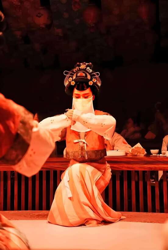 Xi'an: Royal Banquet with Chinese Cultural Performance - What’s included vs. what costs extra in the area