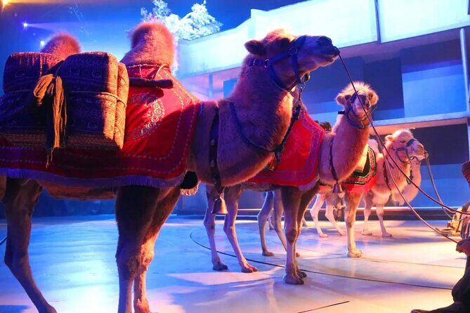 Xi'an Silk Road: Legend of Camel Bell Show Ticket with Transfer - Key highlights you will actually notice