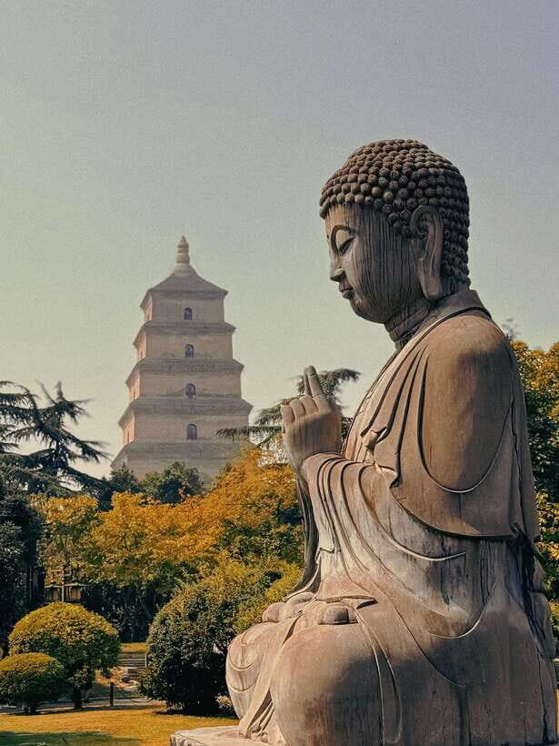 Xi'an: Terracotta Army and Big Wild Goose Pagoda Tour - Who should book this tour, and who might prefer DIY
