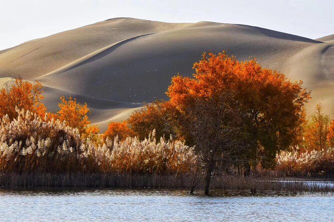 Xinjiang Best Classic Silk Road Tour with Locals - Turpan Basin: Karez waterworks, caves, and old city ruins