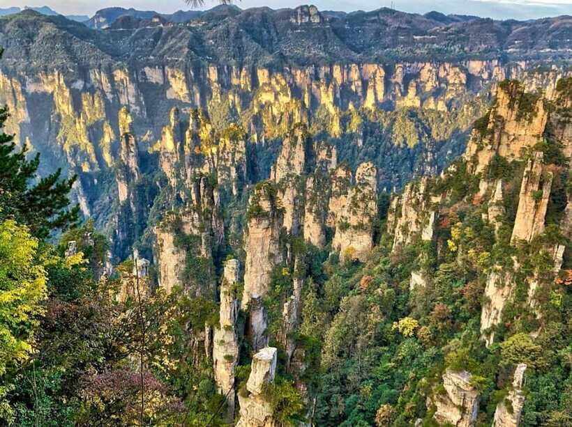 Zhangjiajie: Highlights Tour with Glass Bridge & Cable Car - Bailong Elevator Up to the Sandstone Peaks: 88 Seconds to a New World