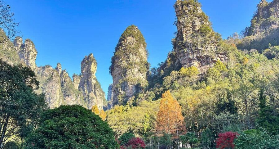 Zhangjiajie: Mini Group Day Tour with Bailong Elevator - Should you book it?