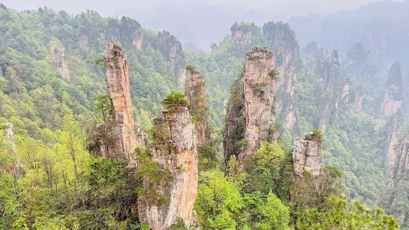 Zhangjiajie: National Forest Park 1-Day VIP Private Tour - Key Things That Make This Tour Worth It