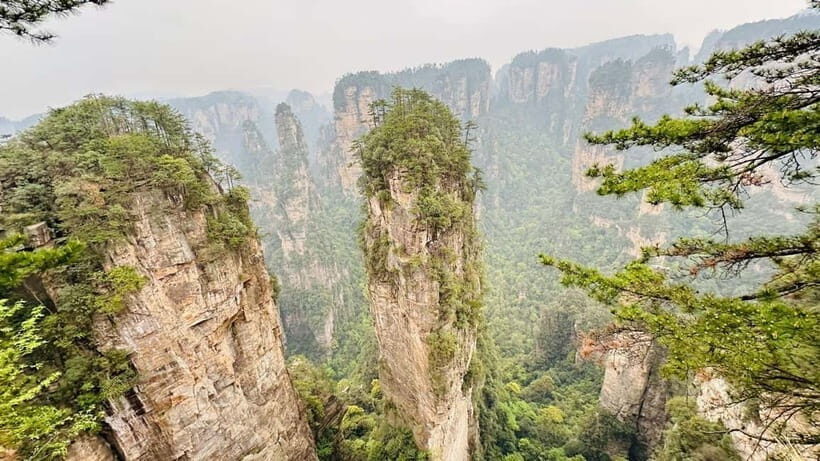 Zhangjiajie: National Forest Park 1-Day VIP Private Tour - Why This VIP Private Format Works in Zhangjiajie
