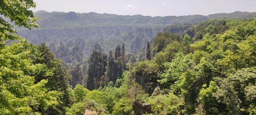 Zhangjiajie: National Forest Park 1-Day VIP Private Tour - Yuanjiajie and Tianzi Mountain: Avatar and Journey to the West Views