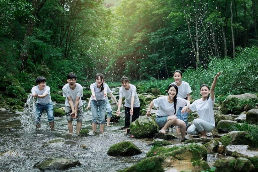 Zhangjiajie: National Forest Park 1-Day VIP Private Tour - Tickets, Timing, and Stamina: What You Might Pay On-Site