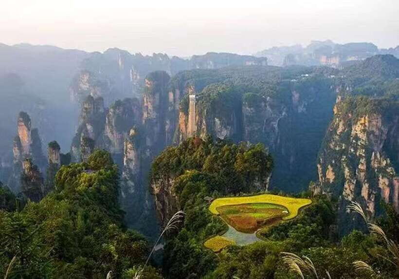 Zhangjiajie National Forest Park: Private Tour and Transport - Key things that make this tour work