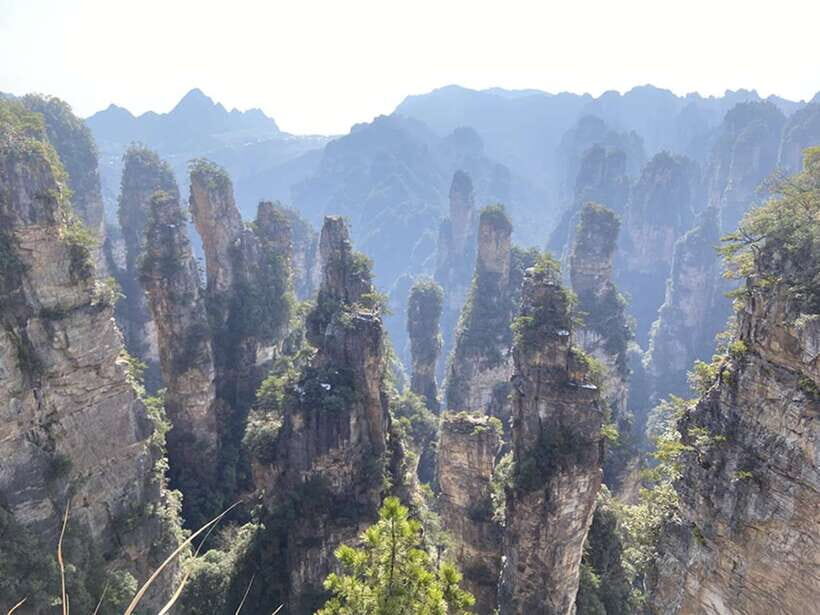 Zhangjiajie National Forest Park: Private Tour and Transport - Price and value: what $229 actually buys you