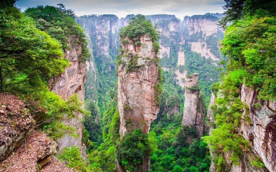 Zhangjiajie: VIP Zhangjiajie National Forest Park Day Tour - Key highlights worth waking up for