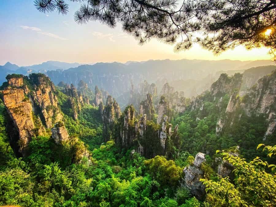 Zhangjiajie: VIP Zhangjiajie National Forest Park Day Tour - Bailong Elevator to Yuanjiajie: the moment everyone remembers