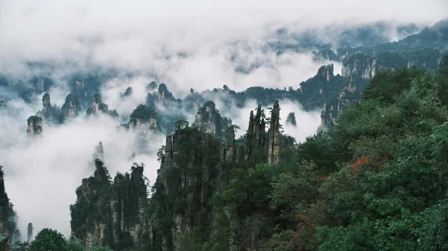 Zhangjiajie: VIP Zhangjiajie National Forest Park Day Tour - Ten-mile Gallery: choosing your pace in a classic corridor of peaks