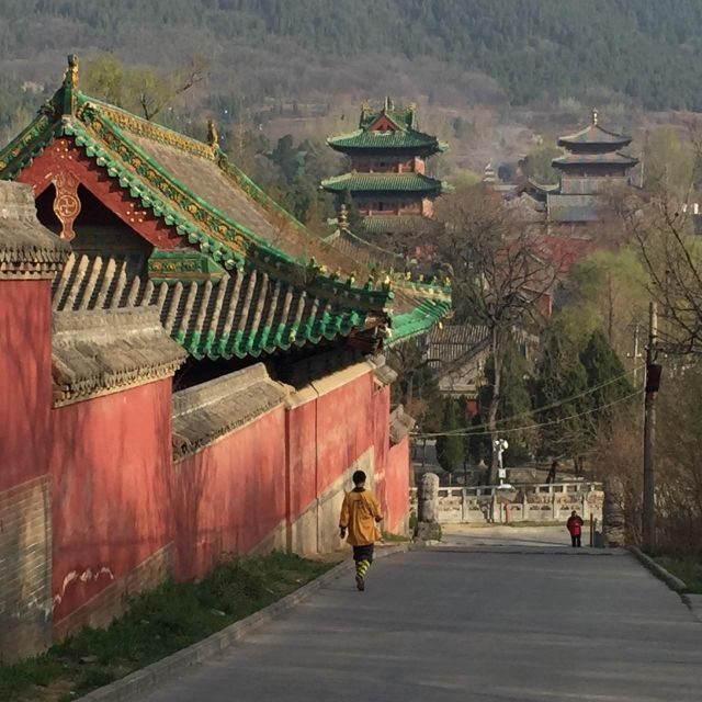 Zhengzhou: Private Tour to Shaolin Temple & Longmen Grottoes - A Private Day Linking Shaolin Temple and Longmen Grottoes