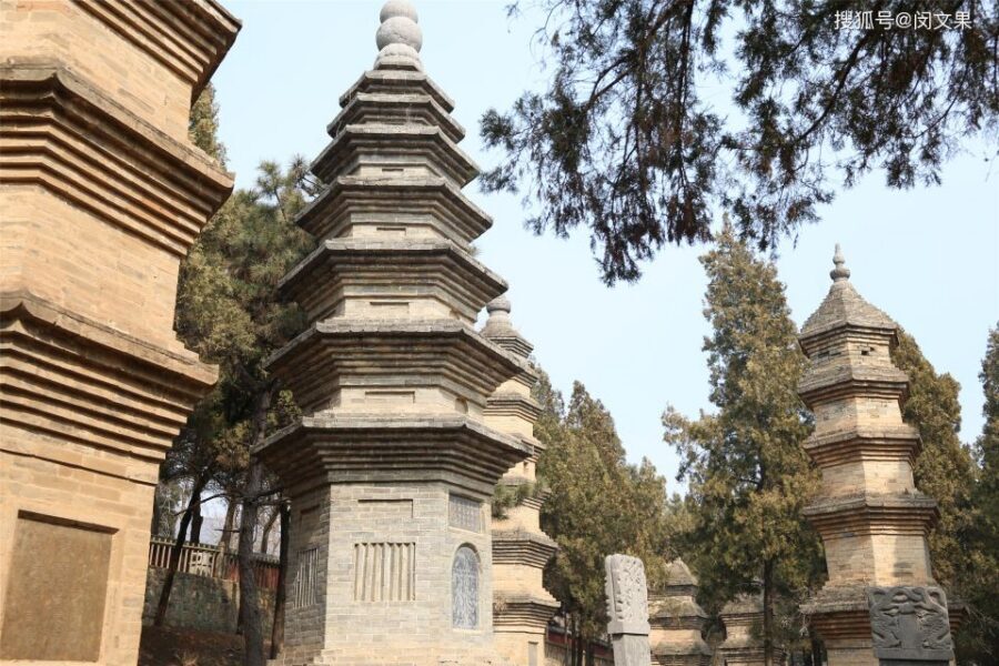 Zhengzhou: Private Tour to Shaolin Temple & Longmen Grottoes - The Pagoda Forest: Over 240 Tomb Pagodas Worth Slowing Down For